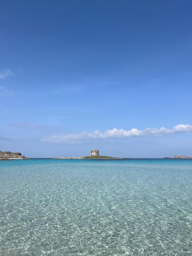 Houseboat Blue Lagoon 스틴티노 외부 사진